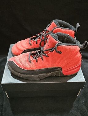 *Lightly Used* Jordan Retro 12 Reverse Flu Game